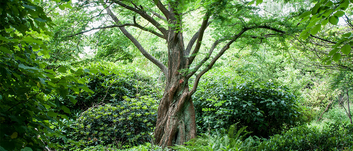 Contura Scandi Happiness Hacks to Boost Wellbeing this Spring and Beyond RoosterPR