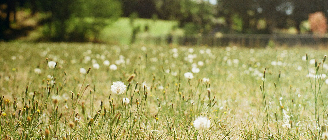 EcoAir Breathe Easy: A Guide to Improving Air Quality in the Home This Spring RoosterPR